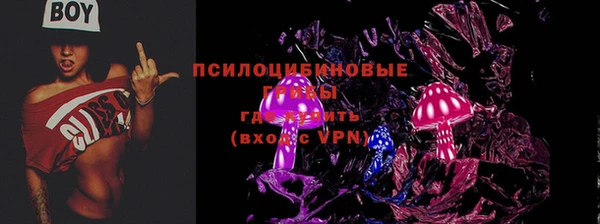 PSILOCYBIN Богородск